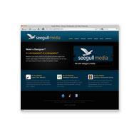 Indianapolis Website Design 05