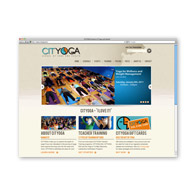 Indianapolis Website Design 12